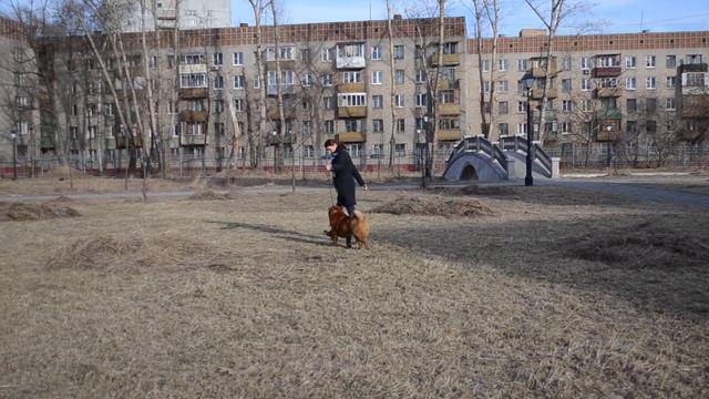 Ти Ай Ши Плюш с Сергиева Посада. 5 ролик смотреть онлайн