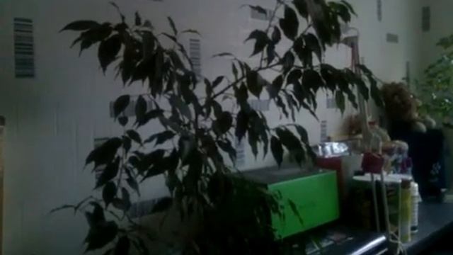 Кладовка в квартире. boooh.ru смотреть онлайн