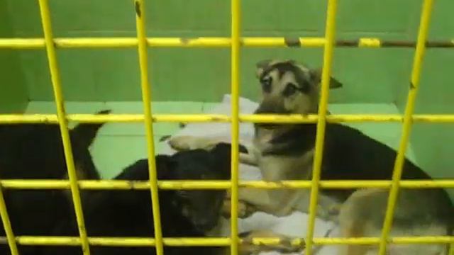 Изображение 002.avi смотреть онлайн