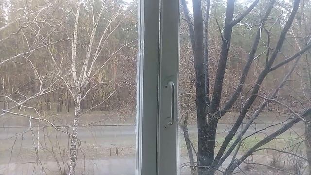 Самвел Адамян / Самвел никуда не уехал, он в Западной Украине !!! смотреть онлайн