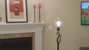 GE reveal® A19 Energy Saving Light Bulbs with Halogen | GE Lighting