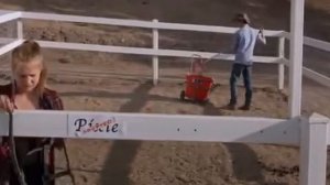 Сердце чемпиона