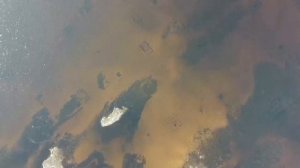 Очертания Мологи показались на поверхности Рыбинского водохранилища