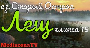 Русская Рыбалка 4 Где Клюет оз.Старый Острог Лещ 09.04.23