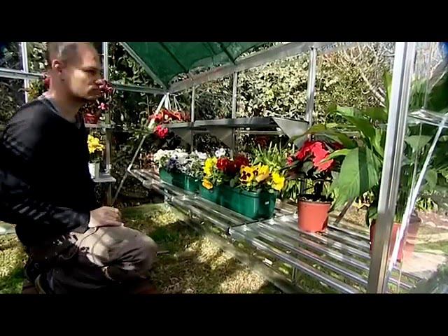 Теплица Palram Hybrid 6x8 701572 с гибридным остеклением смотреть онлайн