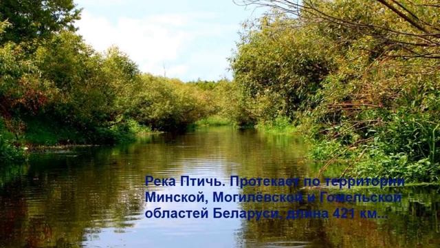 Самые длинные реки Беларуси