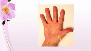 Линии детей на ладони?