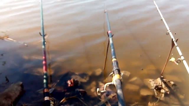 Карась в сентябре! смотреть онлайн