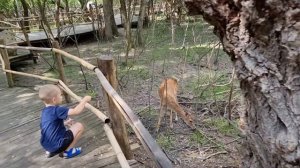 Сафари Парк Краснодар 2021