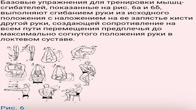 Урок физкультуры дистанционное обучение Базовые упражнения для мышц сгибателей
