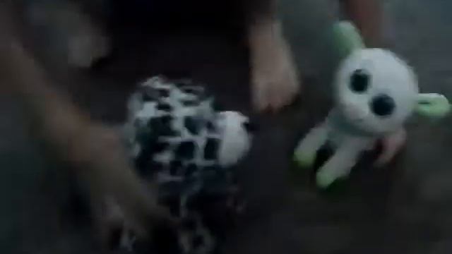 приключения барашка!! смотреть онлайн