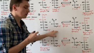 Пентозофосфатный путь: неокислительный этап