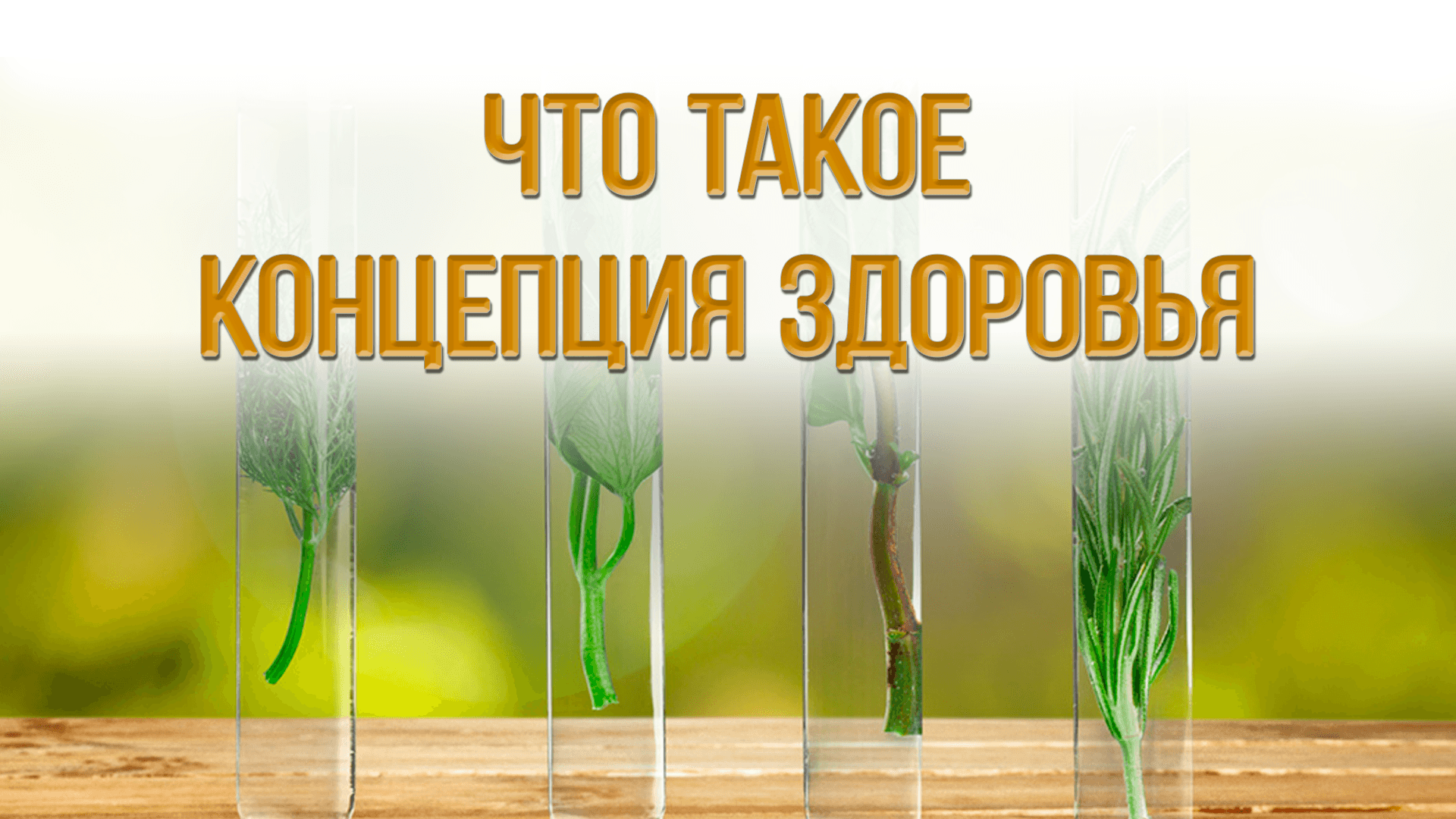 В чём уникальность компании «Концепция здоровья» и как это влияет на ваш иммунитет?
