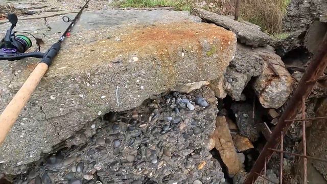 🔴ОНА СЕБЯ ПРОЯВИЛА. Морская Рыбалка в Крыму. Поиски Форели.