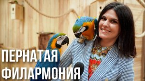 ПОПУГАЙНЯ ?|| Как научить попугая разговаривать ? || Развлечения в Минске