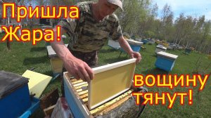 Расширение гнёзд, ставим ВОЩИНУ. Пришла ЖАРА