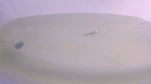 Блесна АТОМ (Колебалка Питер) замедленная съёмка