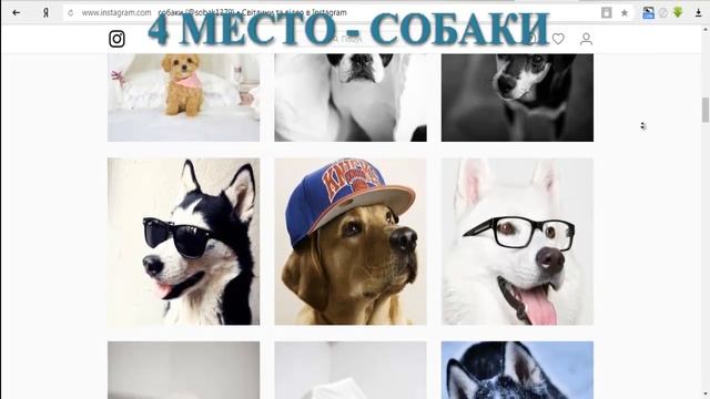 ТОП 5 Тем инстаграм Самые популярные темы в Инстаграм  Как выбрать тему для блога в Инстаграм?