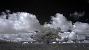 Timo Tolkki's Avalon & Elize Ryd   In the Name of the Rose 1