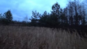 Выживание 5 часть Ловушки на фазана! Дикий кабан порвал боббу,везу в больницу.