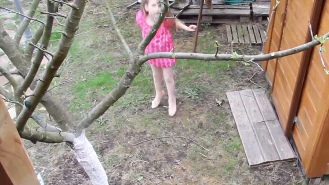 клип "Зеленая карета" смотреть онлайн