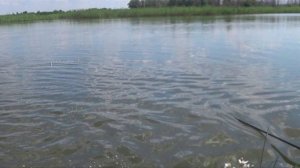 Рыбалка на карася
