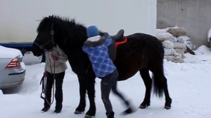 Как запрыгивать на лошадь со спортивным седлом