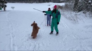 Lifestyle | Федотово |Вологда | Прогулки по лесу