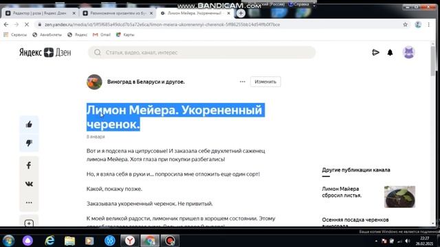 Яндекс Дзен. Как вставить ссылку в статью или продвигать старые?