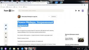 Яндекс Дзен. Как вставить ссылку в статью или продвигать старые?