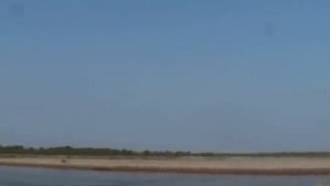 Ловля на поппер и бомбарду.