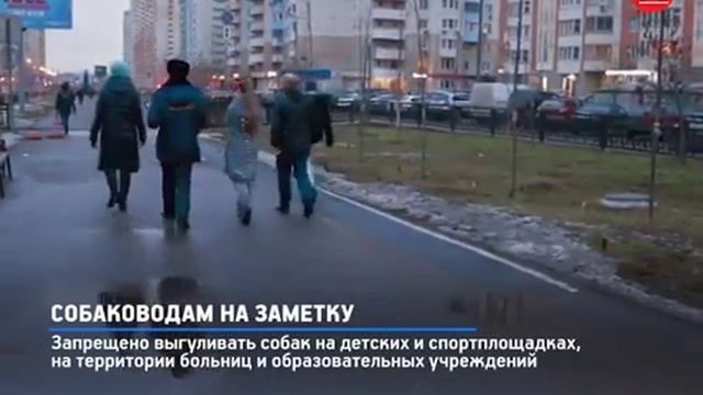 В Павшинской пойме провели проверку соблюдения правил выгула собак смотреть онлайн