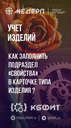 КБФИТ: МЕДЕРП. Учет изделий: Как заполнить раздел «Свойства» в карточке тип изделия?