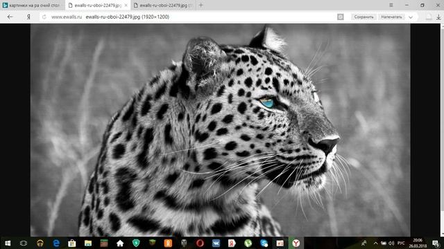 как сделать обои на рабочий стол и на компьютере? смотреть онлайн