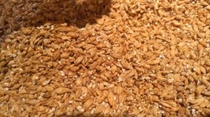 Помол солода