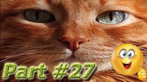 NEW! Подборка видео с забавными животными 2024. Part #27 #dog #cat #animals #video #smile #new