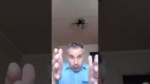 Работа водителем автобуса (когда накипело)