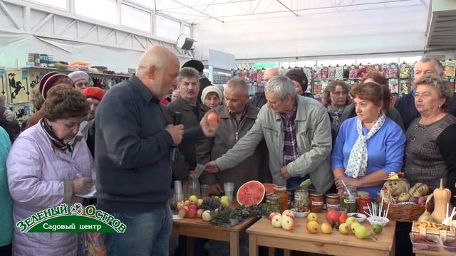 Встреча, яблоко ВМ желтый, имунное к парше, яблоко Манарага смотреть онлайн