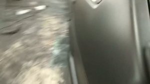 Готовый Результат Раптор 2114 .