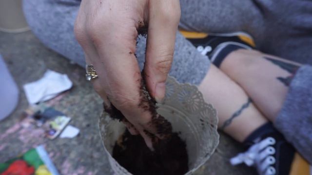 Making a Flower Bed & Sowing Seeds | Beginner | Nasturtium, Cosmos & Cat Grass смотреть онлайн