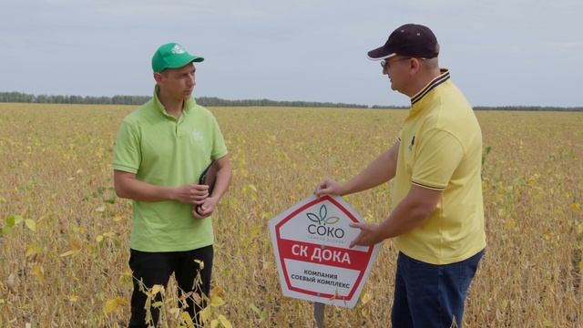 Вырастить сою в засуху? Легко! Так сказал Селекционер СоКо