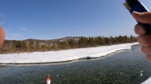 Рыбалка на Иркуте. Поплавок