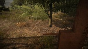 The Town of Light Обзор