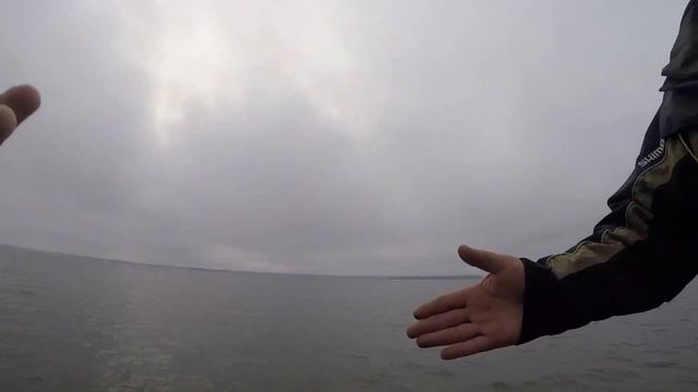 Рыбалка на Яузе. Судак на 5 кг.