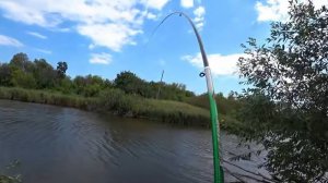 РЫБАЛКА НА ПОПЛАВОК В АВГУСТЕ НА ОЗЕРЕ.