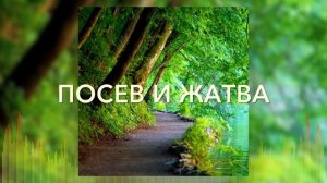 Христианские Песни - Посев и жатва - Nastia Zavie