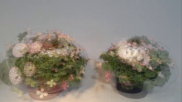 Флористика композиция с ракушками. смотреть онлайн