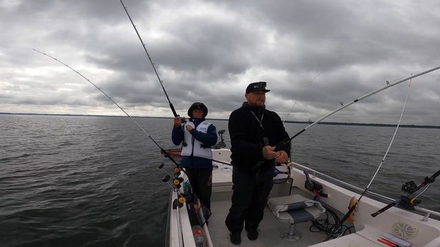 These Massive Lures Land Monster Pike: Watch the Insanity! смотреть онлайн