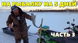 РЫБАЛКА НА 5 ДНЕЙ НА ОЗЕРО ВОЖЕ. 3 ЧАСТЬ. ОТЛИЧНЫЙ НАЛИМ.mp4