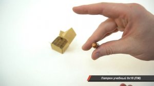 Патрон учебный 9x18 (ПМ)